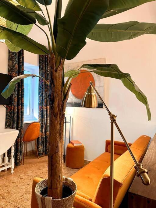 Cerezinoflats-Orange Bay Studio سيكسال المظهر الخارجي الصورة